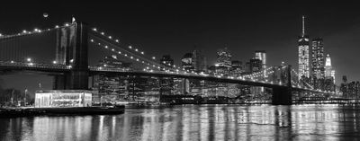 ispycecelia thumbnail