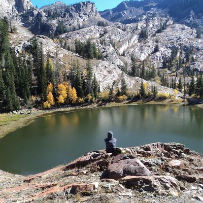 olivergraypnw profile