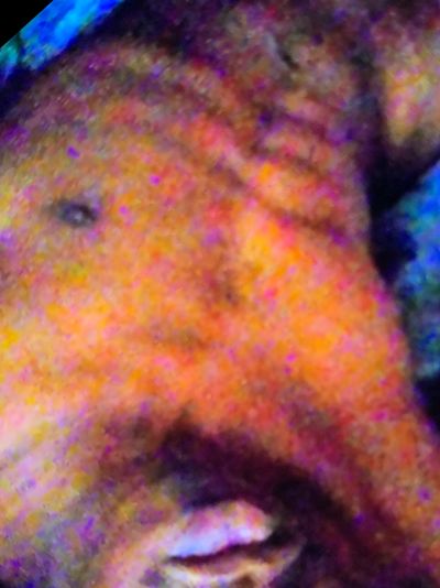 geminiprince9 thumbnail