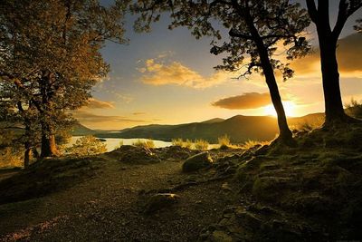 alex_badboy thumbnail