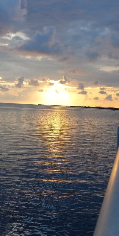 Alpha's submissive bitch thumbnail