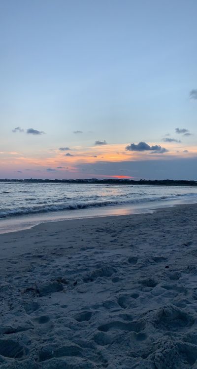 ms_sunflower thumbnail