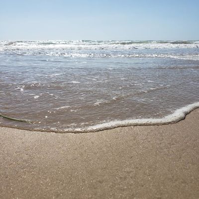 bunnya2319 thumbnail