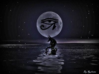 Gay Geek Boy profile