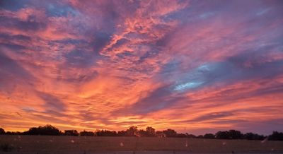 easy.rider thumbnail