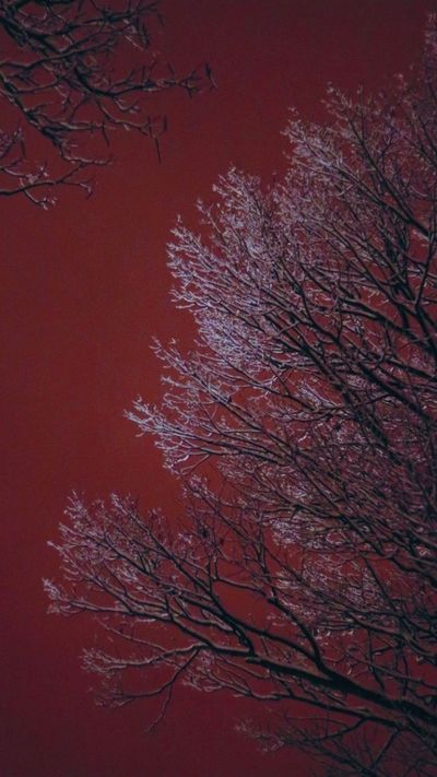 BasicUsername profile