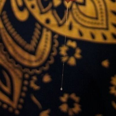 acceptablepervert profile