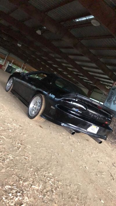 Brian Qualls thumbnail