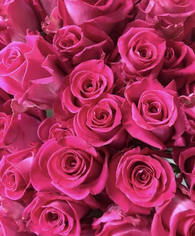 🍓Michy🍓 thumbnail