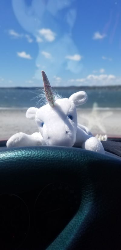 stubbornbrat25 thumbnail