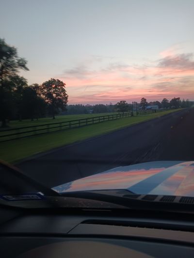 let_do_it409 thumbnail