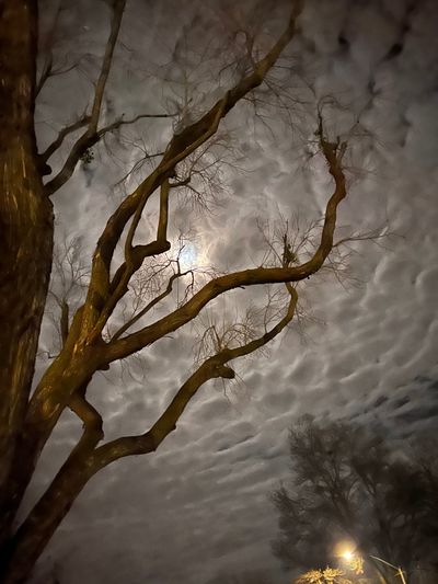 meatprintdaddy thumbnail