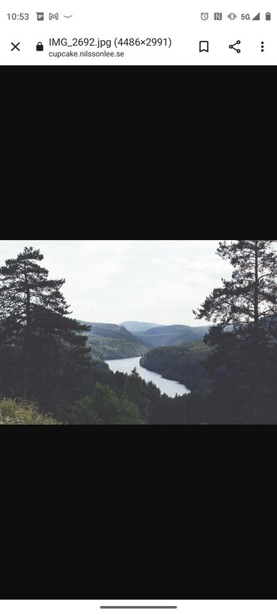 junipermille thumbnail