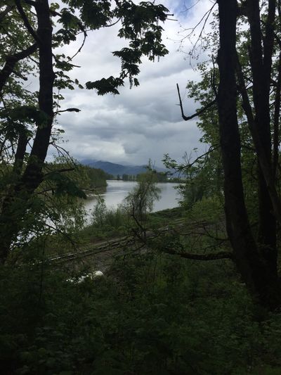 starlajayy thumbnail