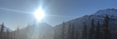 reggiestevenash thumbnail