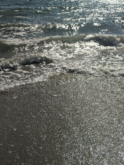 Bee &amp; Elle thumbnail