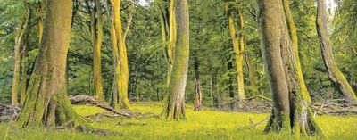 Smalltowngay1993 thumbnail