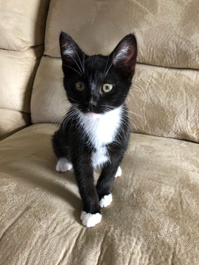 miexytrouble thumbnail