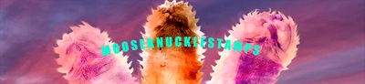 mooseknucklestamps thumbnail