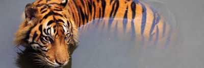 nyxthegodfree thumbnail