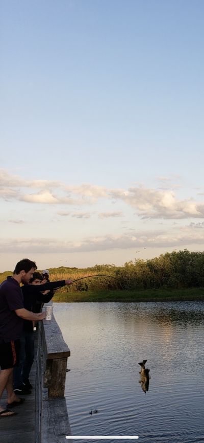 sendnuddles thumbnail