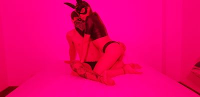 cachorroxxxs profile