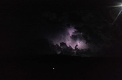 centauriandelight thumbnail