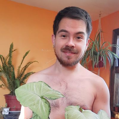 nachoplantitas profile