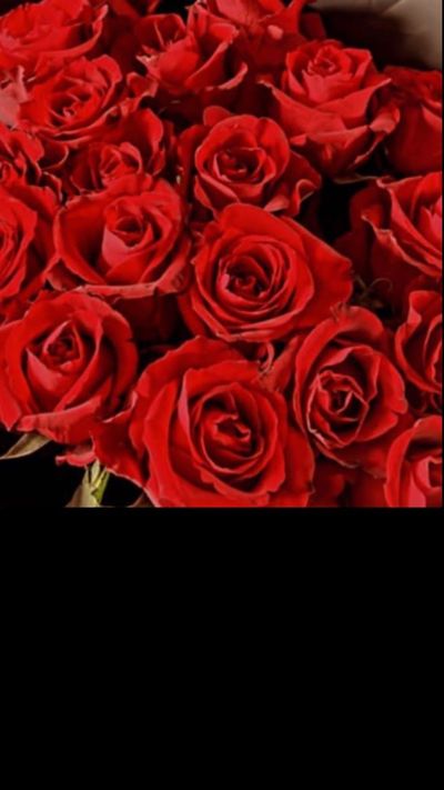 passionlifexxx thumbnail