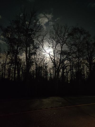 thebunny38 thumbnail