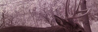 brianbenz6 thumbnail