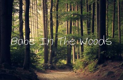 babeinthewoods thumbnail
