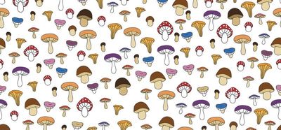 kittiespit thumbnail