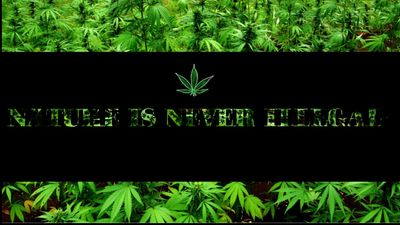 Jane Smoke thumbnail