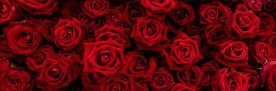 sweetlike___ thumbnail