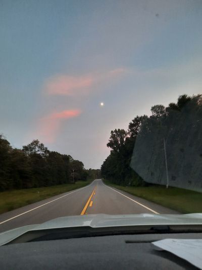 sunflower.pantry thumbnail