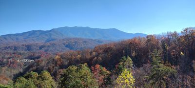 SwingingGrayson thumbnail