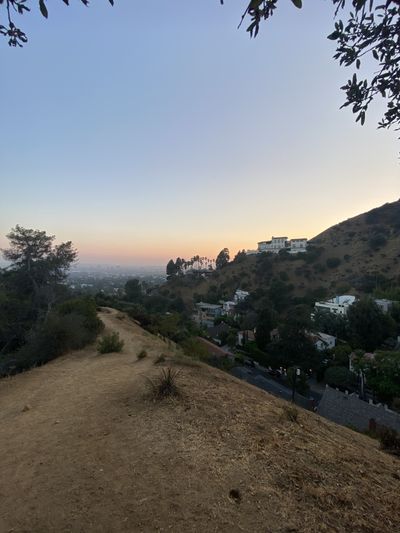 hairyman215 thumbnail