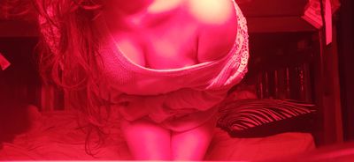 🐱🌹 service kitten 🌹🐱 profile