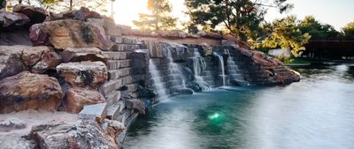 🐻FurrySocialBear 🐻 thumbnail