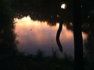 roxistarbaby thumbnail