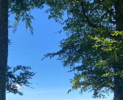 🍊 Redhead Naughtiness 🍊 thumbnail