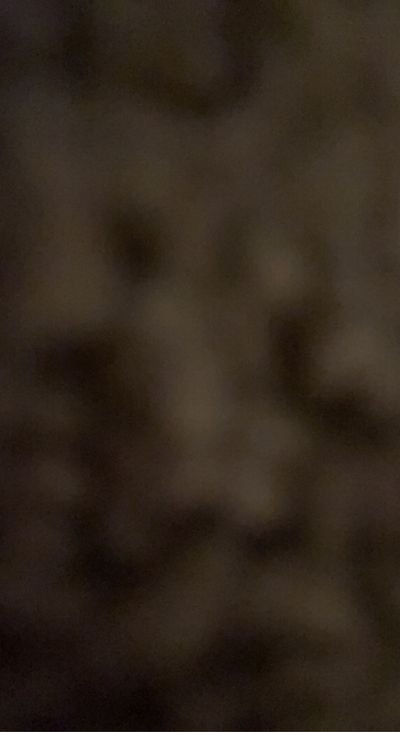 jessicareneeday thumbnail