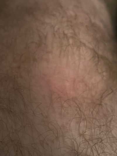 secretpieceandscents profile