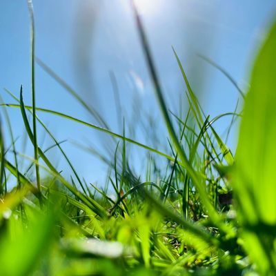 BenTooling thumbnail