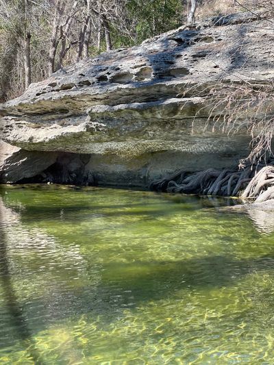 plumbernextdoor thumbnail