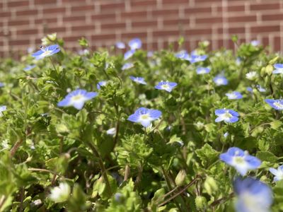 happy2behere thumbnail