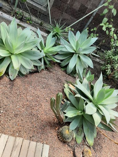 feer.nandaa thumbnail