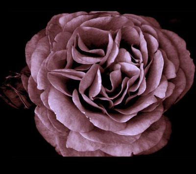 sexiricanbaby thumbnail