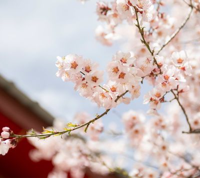 I can't wait to CU thumbnail